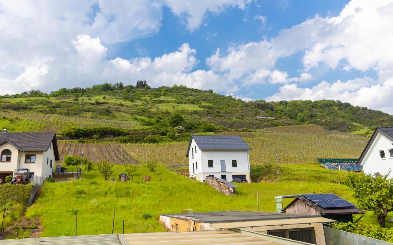 ホテル Weinhaus Henerichs Pommern エクステリア 写真
